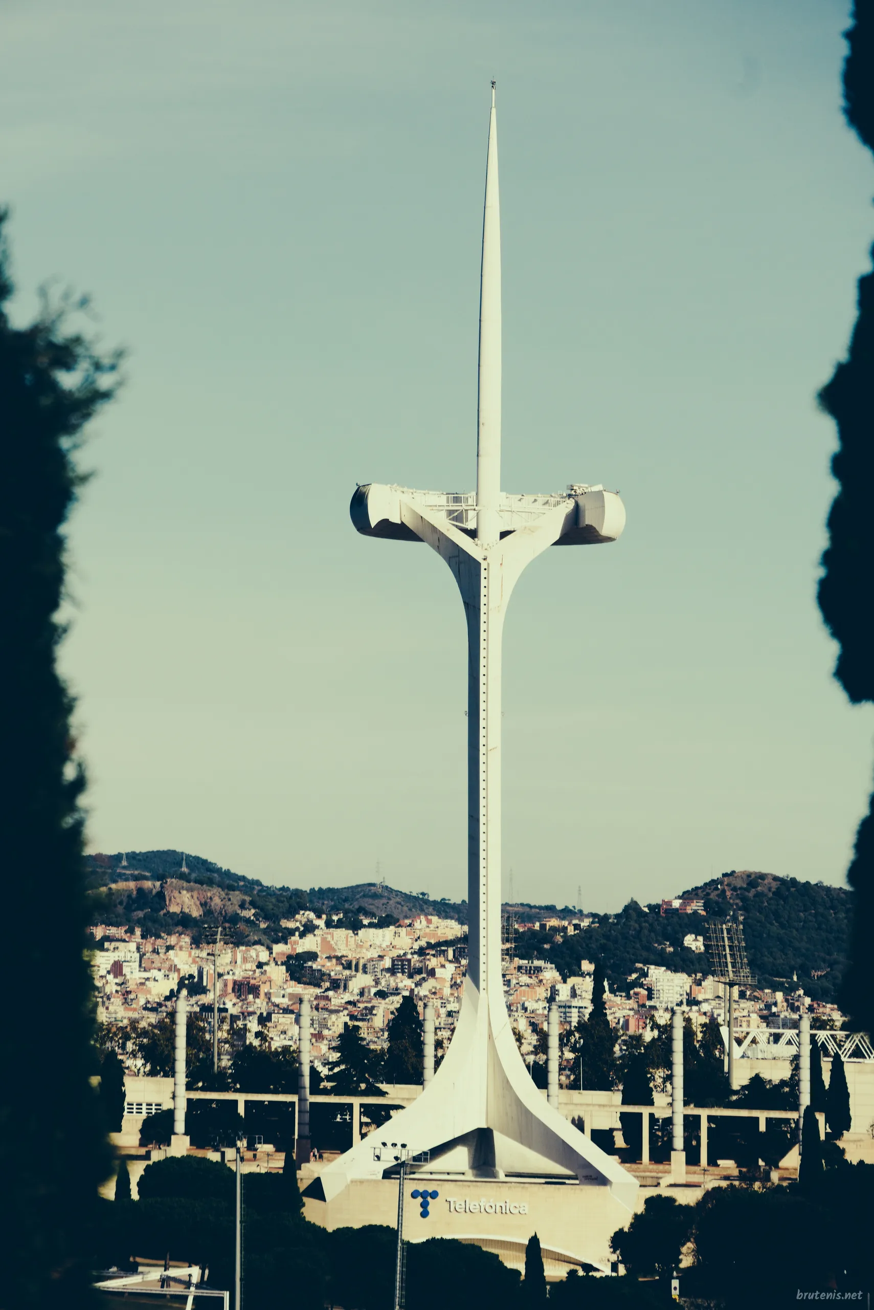 If I Were a Parakeet — photo 13